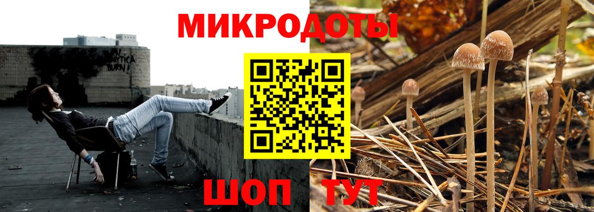 Псилоцибиновые грибы Psilocybine cubensis Знаменск