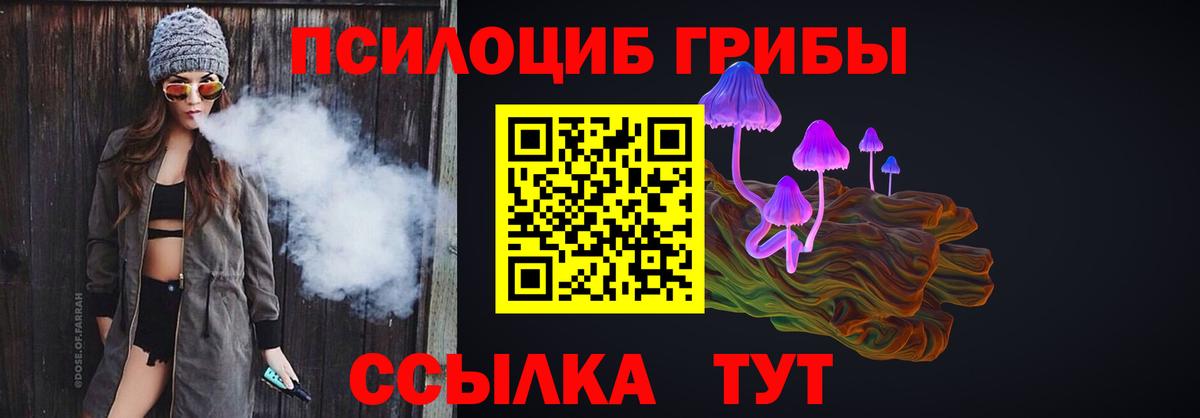 Знаменск  Псилоцибиновые грибы Magic Shrooms  Вход с VPN 
